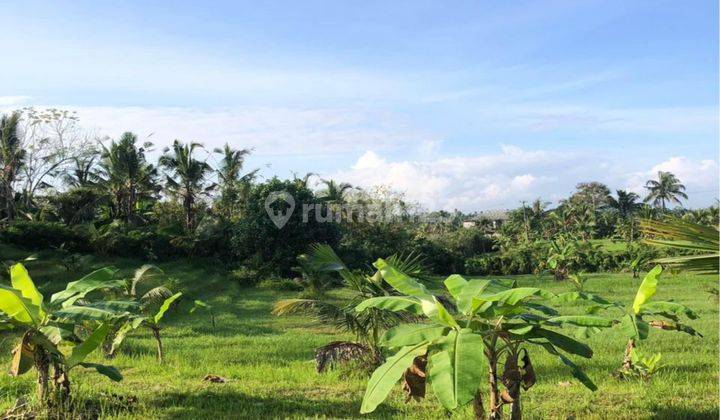 Tanah Murah Di Megati Tabanan Cocok Investasi View Cantik 2