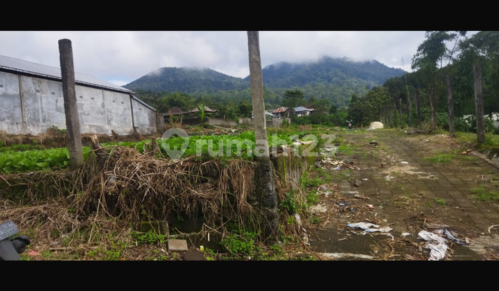 Land For Private Villa In Bedugul Cold Air