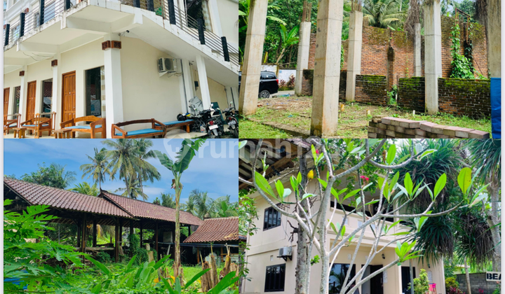 Hotel 15 Kamar Siap Huni Harga Sewa Murah  1