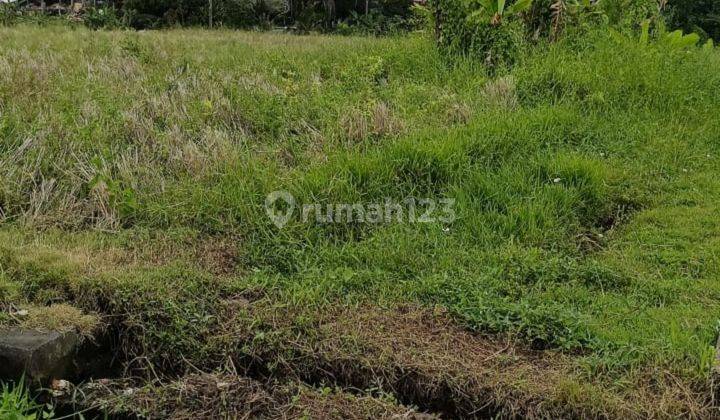 TANAH DEKAT PANTAI BATUBOLONG COCOK VILLA KOMPLEK 2