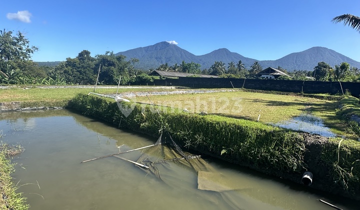 Tanah View Laut Gunung Hutan Sawah Super Cantik  1