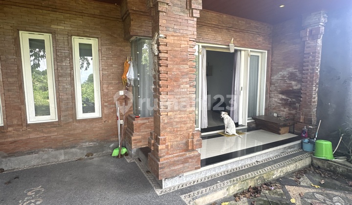4-Bedroom House with Rice Field View Near Dalung Puspem Badung