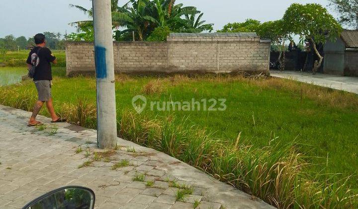 Tanah Siap Bangun Villa Rental View Sawah  1