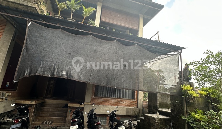 Guesthouses Murah Di Ubud Cocok Bisnis Rental Harian  2
