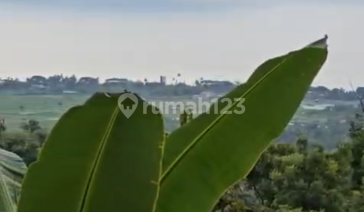 Tanah Murah View Laut Pantai Lovina Cocok Vila Pribadi Tanah Murah View Laut Pantai Lovina Cocok Vila Pribadi