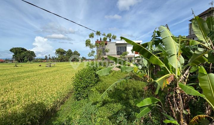 Tanah Zona Kuning View Sawah Cocok Vila Rental Ubud Tanah Zona Kuning View Sawah Cocok Vila Rental Ubud