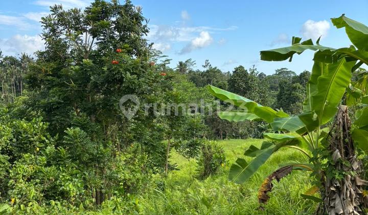 Cheap Land for Rent with a Cool View, Ready to Build Villa Hotel Resort