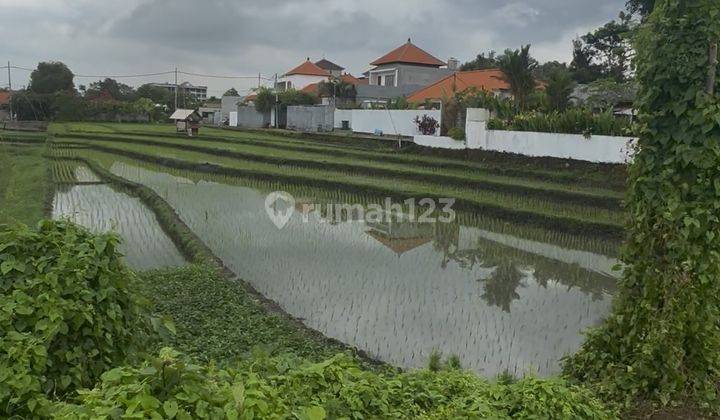 View Sawah Lingkungan Villa Siap Bangun Vila Rental  1