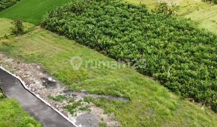 Tanah Cocok Villa Rental Dekat Pantai Pererenan Canggu