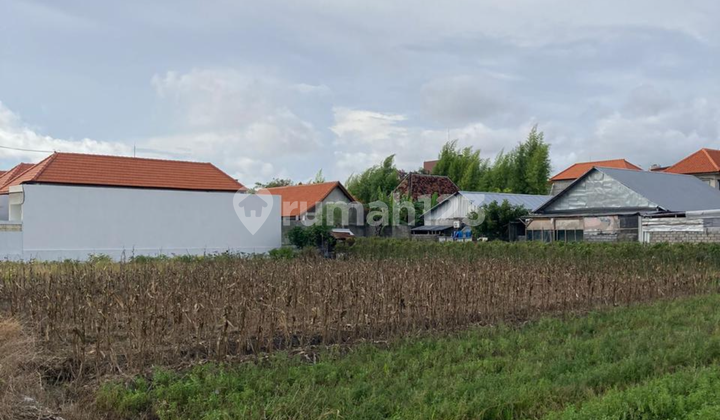 Yellow Zone Leasehold Land Ready to Build in Kerobokan Yellow Zone Leasehold Land Ready to Build in Kerobokan