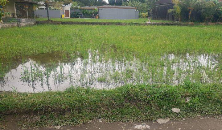 TANAH VIEW SAWAH LINGKUNGAN VILLA HARGA MURAH 1