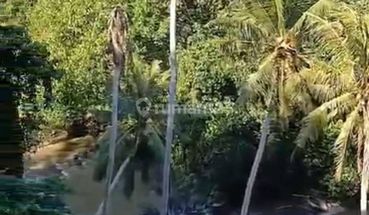 Tanah View Sungai Hutan Lembah Super Cantik Harga Murah  2