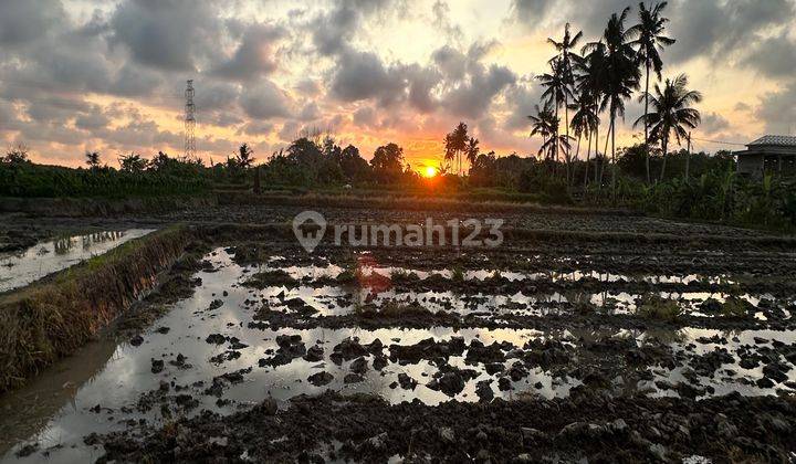 Tanah View Sunset Dan Sawah Cantik Lingkungan Villa Keren 1