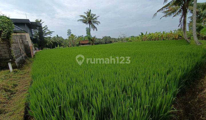 Tanah View Sawah Cantik Lingkungan Villa Siap Bangun 1