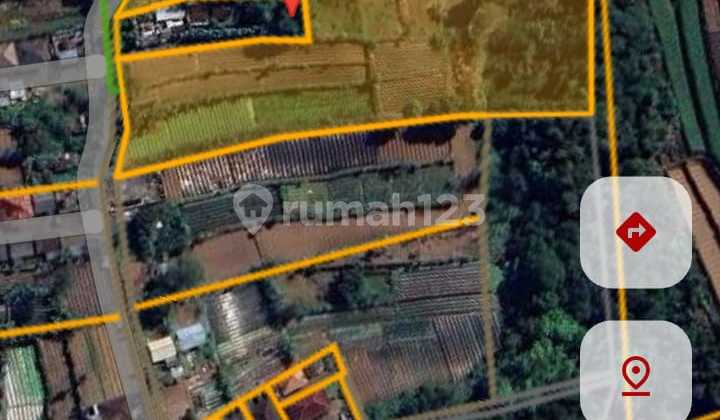 Dijual Tanah Lokasi Bedugul Dikawasan Objek Wisata Strategis