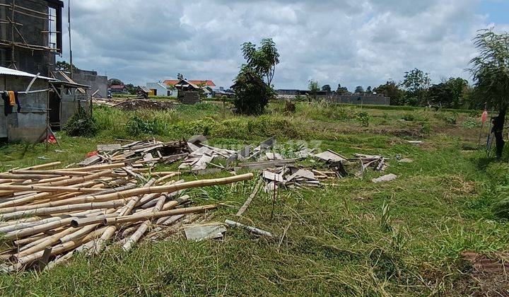 TANAH VIEW SAWAH KEREN DI UMALAS TERMURAH 1