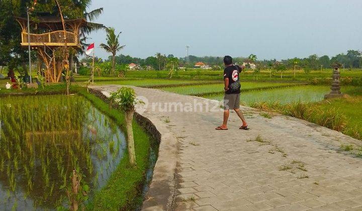 Tanah Siap Bangun Villa Rental View Sawah  2