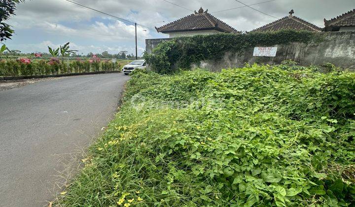 Small Land Size View Lodtunduh Rice Fields Asphalt Road 2