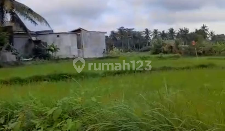Tanah Dekat Central Ubud View Sawah Cocok Vila Pribadi Tanah Dekat Central Ubud View Sawah Cocok Vila Pribadi