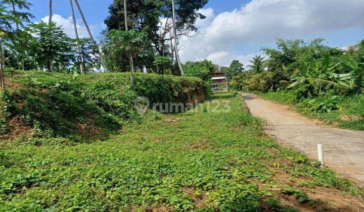 Land Near Central Ubud Suitable Villa Cheap Price 1