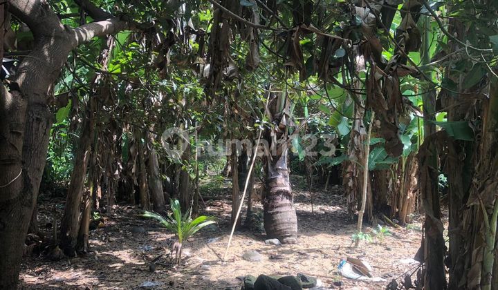 TANAH SEWA ZONA KUNING HARGA TERMURAH DI UBUD