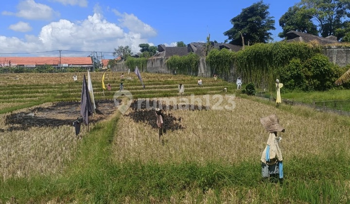 Tanah Murah Umalas View Sawah Zona Kuning 