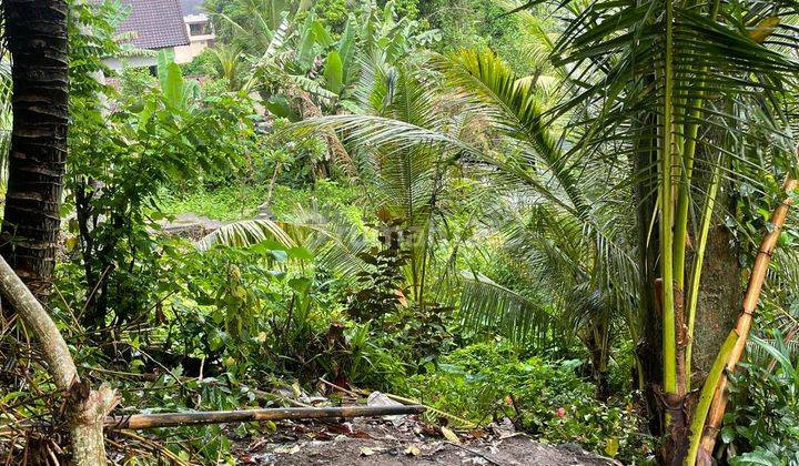 Tanah Sewa Central Ubud Harga Murah View Sawah  1