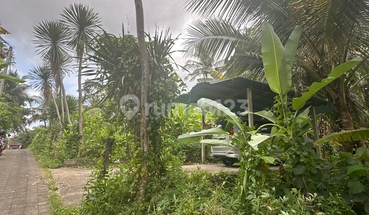 Tanah Murah Untuk Vila Rental View Hutan Dekat Ubud Tanah Murah Untuk Vila Rental View Hutan Dekat Ubud