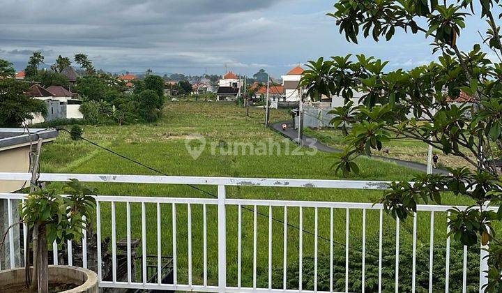 Rumah Sewa Style Bali View Sawah Siap Huni  2