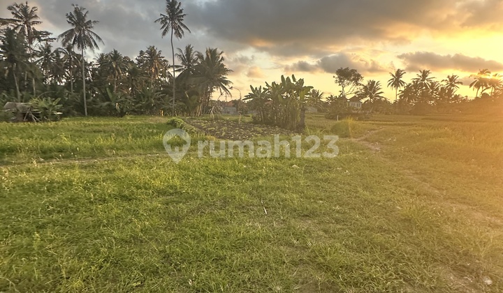 Tanah Murah View Sawah Sunset Hutan Keren Siap Bangun 