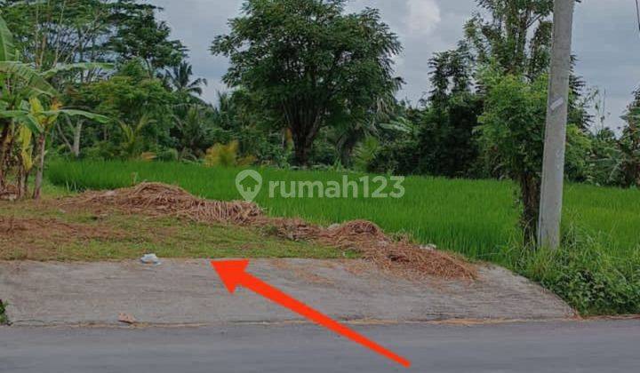 LAND ASPHALT ROAD RICE FIELD VIEW RESORT ENVIRONMENT 1