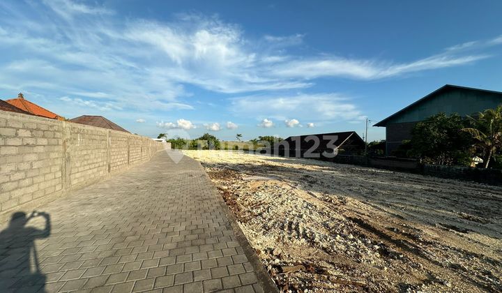 Land Plot Location Canggu Special Area Only a Few Plots Left