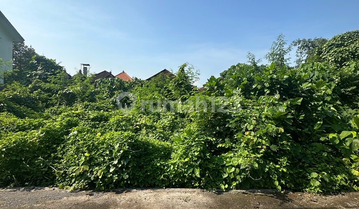 Land Yellow Zone Villa Environment Jl 5 Mtr Asphalt