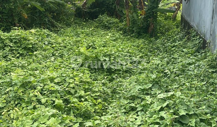 Tanah Siap Bangun Zona Kuning Dalung Dekat Canggu Tanah Siap Bangun Zona Kuning Dalung Dekat Canggu