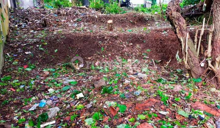 Affordable Land Munggu View River Suitable Villa Rental