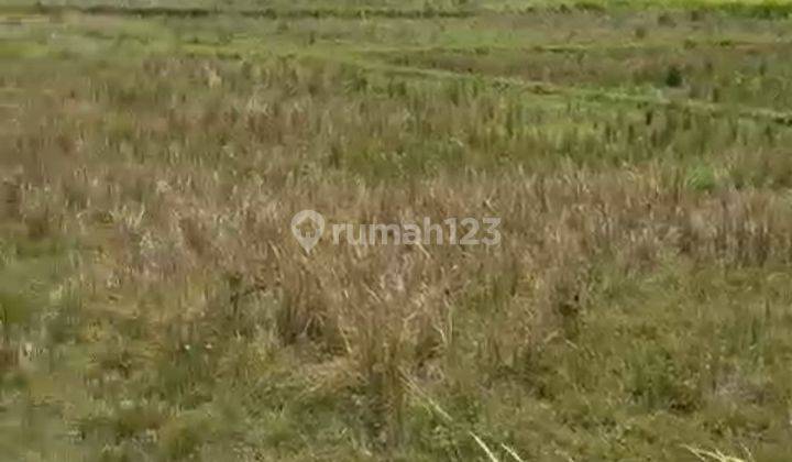 Tanah View Sungai Hutan Keren Di Lodtunduh Ubud  2