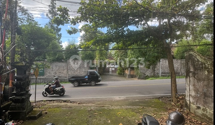 Affordable Shop House on Teges Main Road Ubud, Suitable for All Businesses 2