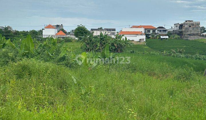 Tanah View Sawah Cantik Di Padonan Canggu Cocok Villa 1