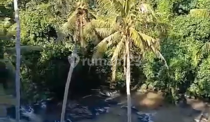 Tanah View Sungai Hutan Lembah Super Cantik Harga Murah  1