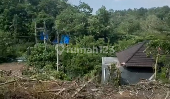 Tanah View Lembah Hutan Di Jalan Utama Cocok Villa Dan Restoran Tanah View Lembah Hutan Di Jalan Utama Cocok Villa Dan Restoran