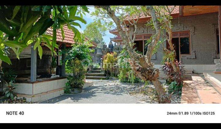 Rumah Besar Siap Huni Di Singapadu Cocok Jadi Villa Rental