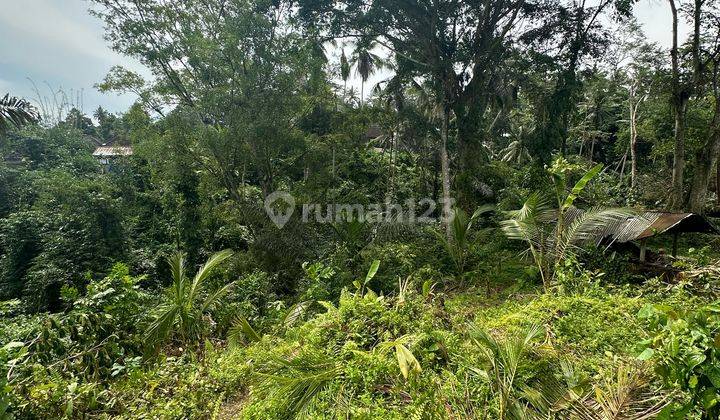 Tanah View Sawah Hutan Sungai Keren Cocok Villa Rental Ubud