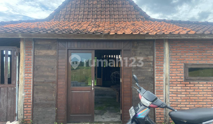 Rumah Kayu View Sawah Cocok Untuk Rental 