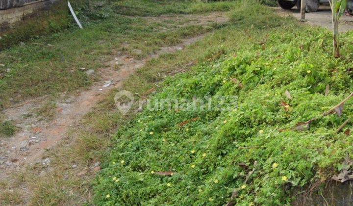 Tanah Sewa Dekat Central Ubud Harga Murah Cocok Villa Rental 