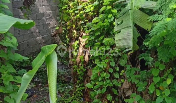 Land For Villa Hotel Resort In Canggu Land For Villa Hotel Resort In Canggu