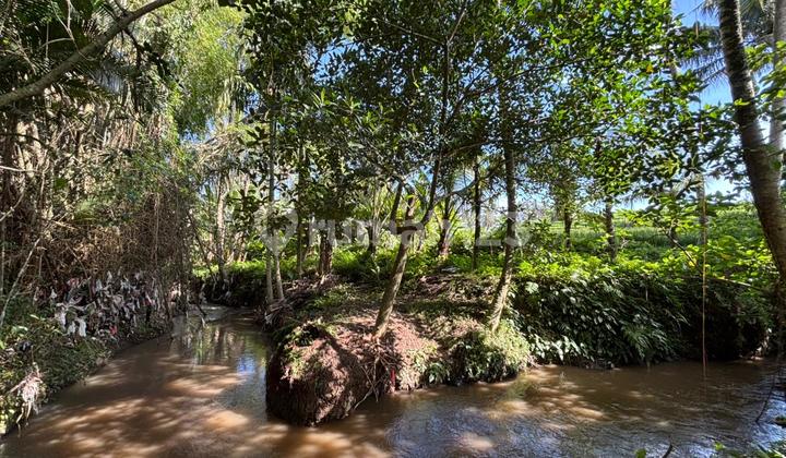Tanah Sewa View Sungai Hutan Keren Siap Bangun Villa 