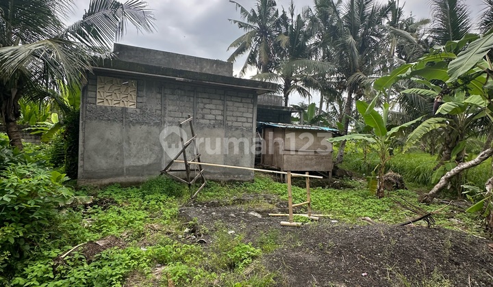 Tanah Bonus Vila 70% Lodtunduh Ubud Harga Murah. Tanah Bonus Vila 70% Lodtunduh Ubud Harga Murah.