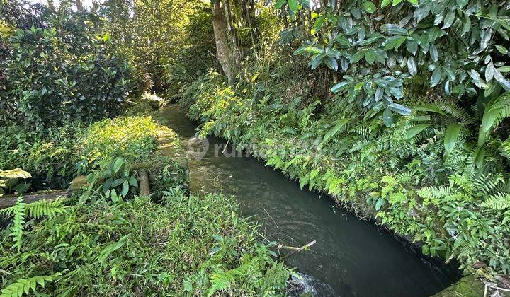35jt/are Super Murah Di Jalan Utama View Air Terjun Pribadi  1