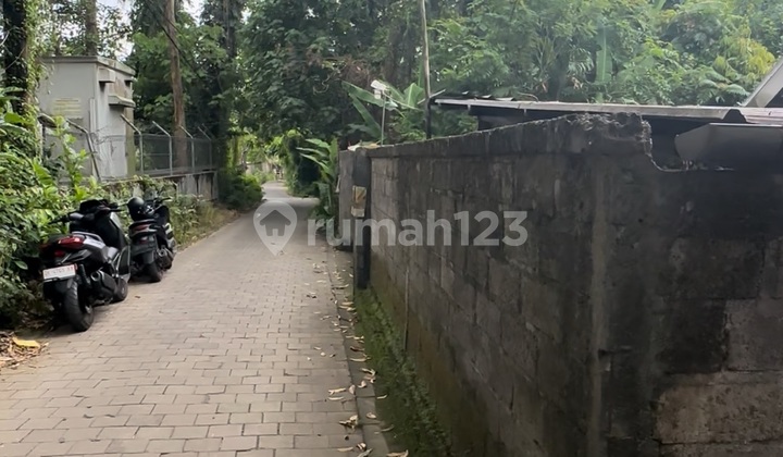 Yellow Zone Land for Villas and Investment in Lodtunduh, Ubud