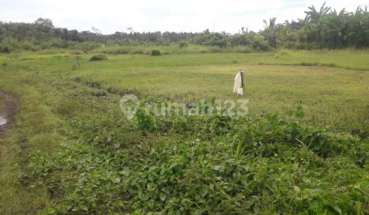 Dihual Tanah Luas di Mandung Kerambitan Bagus Strategis